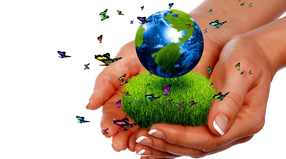 Природа земного шара. Планета в руках человека. Земля в руках человека. Экология планеты. Планета в руках экология.