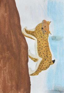 IMG_20260207_123214_939