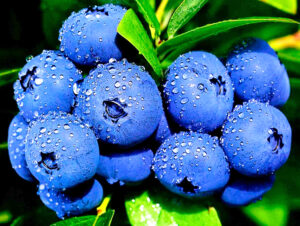 b70305b1b0ea91efc1ab040967f8f436