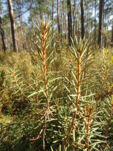 Приложение 1.4