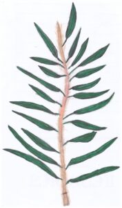 Приложение 2.4