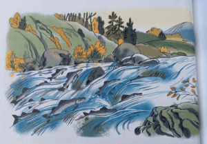 фото приложение 12